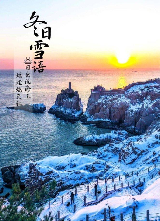 山红珠叶子发黄是什么原因？