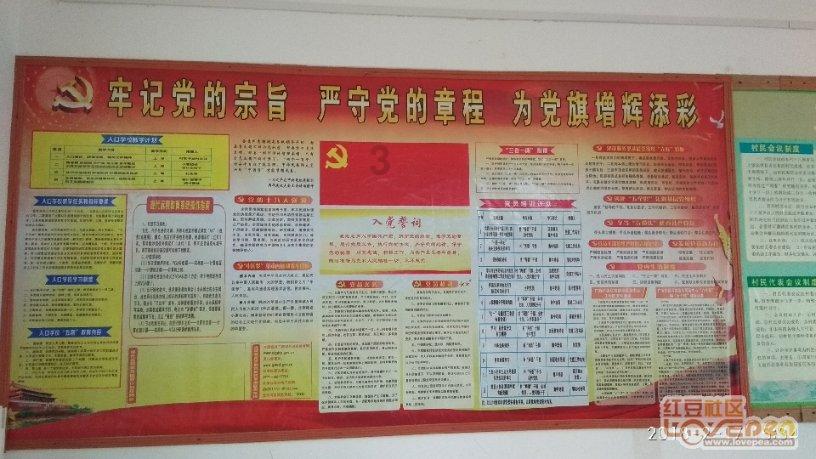 森迪一粒乐 | 男性春节养生指南，助您生“龙”活虎！